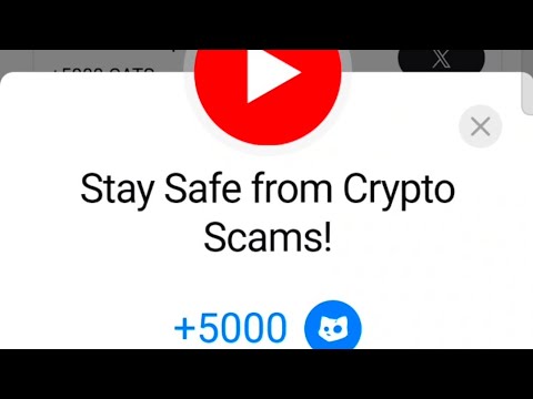 Stay Safe from Crypto Scams! Cats Code | Stay Safe from Crypto Scams cats video code today