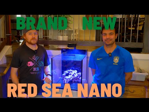 Setting Up a NANO Tank With Luc Adams