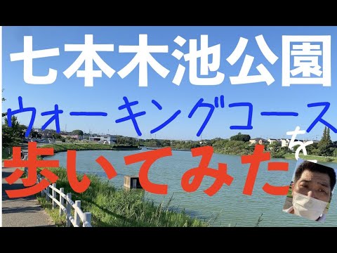 半田市　七本木池公園のウォーキングコースを歩いてみた