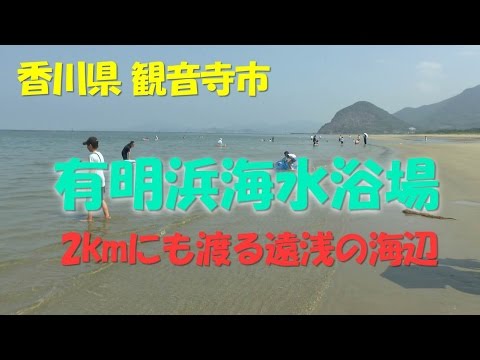 【Kansai Outing Spot】Ariake Beach : 2 km sandy beach and shallow sea that continues to 150 m ahead