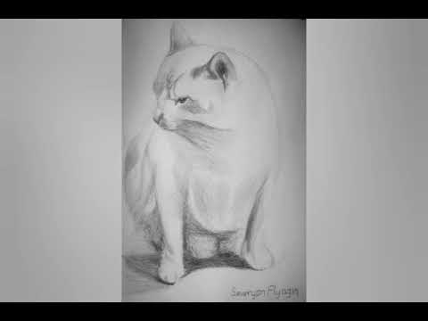 Animals. Art compilation. Part 1