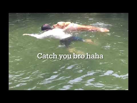 Swimming with golden retriever in the river