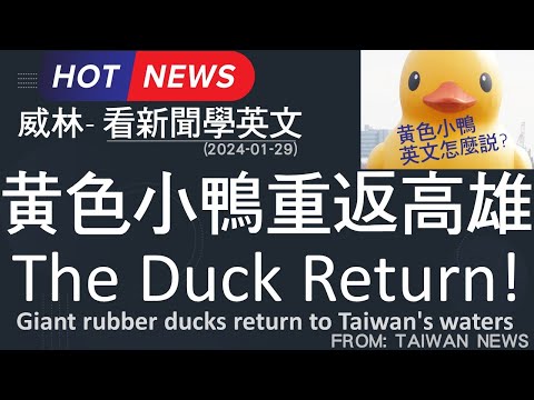 [10分鐘搞定英文閱讀] 黃色小鴨重返高雄! The Duck Return! (2024-01-29 更新)  #時事英文 #英文閱讀 #英文單字