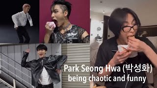 Park Seong Hwa (박성화) being chaotic and funny