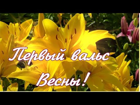 ПЕРВЫЙ ВАЛЬС ВЕСНЫ! С ПРАЗДНИКОМ!🌹🎶🌹Музыка для души и весеннего настроения!🎶❄️🎶Сергей Чекалин!🎶❄️🎶