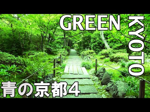 Green Kyoto Japan