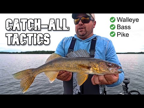 3 Tactics that Catch EVERYTHING in the Lake