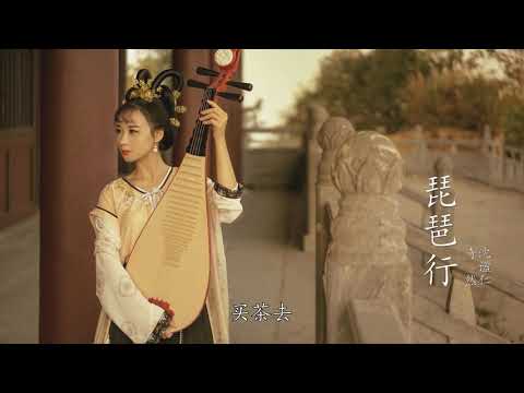 奇然liya - 沈谧仁 - 琵琶行（歌词版）