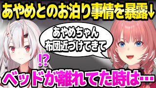 【ホロライブ】あやめとルイ姉のお泊り事情やケンカ頻度など,数々のエピソードで笑いが止まらない二人「ちょいちょい暴露ｗ」1ブロックマイクラまとめ【切り抜き/百鬼あやめ/鷹嶺ルイ】