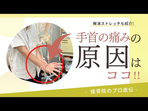 【手首の痛み】手を壁や机に突くと痛い、仕事やスポーツをすると手首が痛くなってくる。そんな方へのストレッチ！｜接骨院のプロが教えるお家セルフケア｜テラピスト接骨院