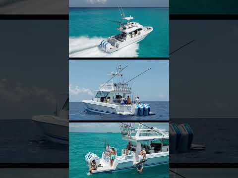 Formula 457 CCF | FLIBS 2024