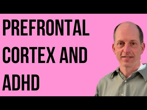 Prefrontal Cortex and ADHD