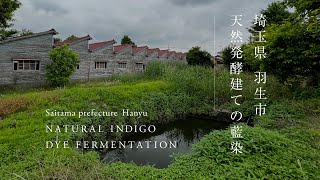 埼玉県／羽生市／天然発酵建ての藍染｜Hanyu, Saitama Prefecture / Natural indigo dye fermentation