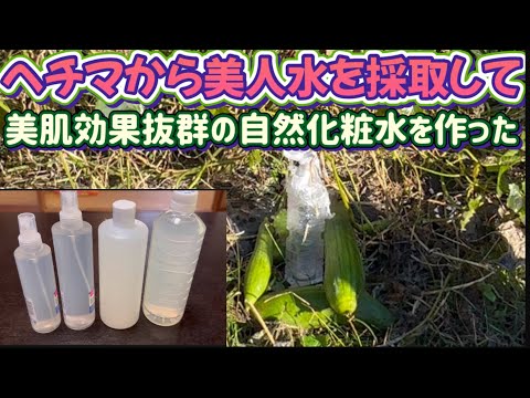 【家庭菜園で化粧水をつくる】肌がつるつる手荒れも解消！