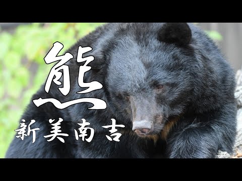 熊　新美南吉　朗読