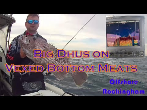 Big WA Dhu Fish on Vexed Bottom Meats - Offshore Rockingham