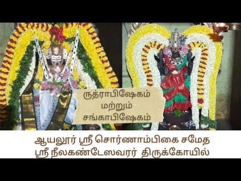 Maha Rudrabhishekam | ஆயலூர் நீலகண்டேஸ்வரர் கோவில் சங்காபிஷேகம் மற்றும் ருத்ராபிஷேகம்  #om #shiv