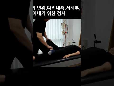 #마곡필라테스 #발산필라테스 #오운완 #콜링필라테스 #클래식필라테스 #서혜부통증 #만성통증 #shorts #동기부여 #다리내측통증