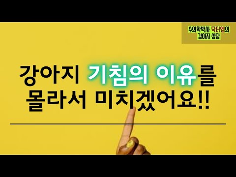 강아지 기침의 원인을 모르겠어요!