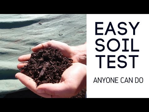 An Easy Soil Test You Can Do For Free