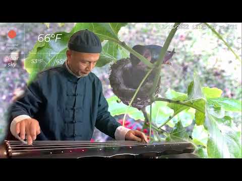 Henry's Guqin Practice: Leaves Dancing in the Autumn Wind 梧叶舞秋风 part 1-3