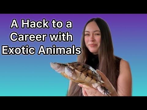 How to Break Into a Career With Animals | Zoology and Back to Social Media