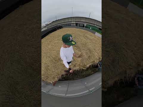 Climbing on top of a Matcha tea field! #matcha