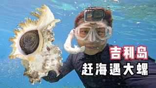 Day 11 of "Indonesia": I challenged sea fishing today, but I harvested conch bigger than my face!