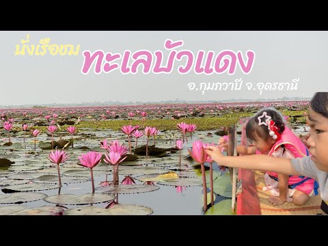 นั่งเรือชมความงามของทะเลบัวแดง / สะปันมัลดีฟส์