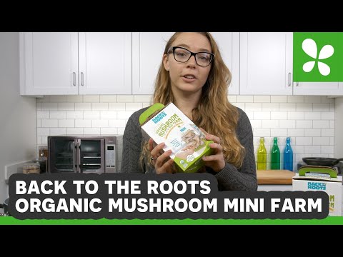 Grow Your Own Delicious Mushrooms with the Back To The Roots Organic Mushroom Mini Farm