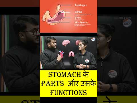 🩸Stomach Parts & Functions #stomach #pharmacyindia #biologicalchemistry