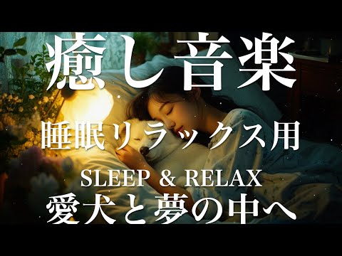 愛犬と夢の中へ【睡眠用リラックスBGM】sleep relax 瞑想 ヨガ 集中力 疲労回復に効く  寝る前に聴くと超熟睡できる 朝の目覚めスッキリ 勉強に集中 疲れを取る 快眠 読書 癒し音楽 座禅