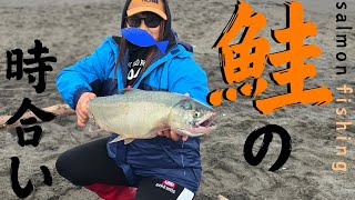 鮭の時合いは異常！サーフでこぼれイクラじゃ - salmon fishing -