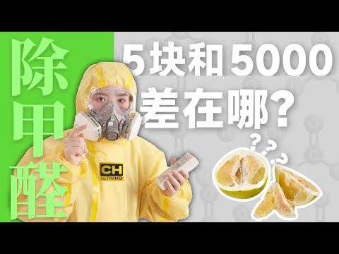 绝命毒师，但超标 10 倍！除甲醛大挑战！