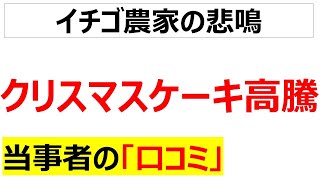 [イチゴ高騰]クリスマスケーキ高騰の背景にあるイチゴ農家の苦境の口コミを20個紹介します