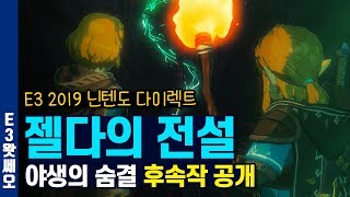 통장이 텅장으로, E3 2019 닌텐도 다이렉트 정리 | E3 2019 [E3왓쎄오]