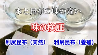 【一番出汁の引き方】プロが教える和食の基礎基本のお出汁とは