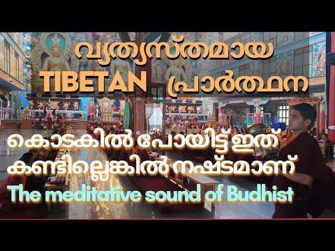 Budhist Prayer | The meditative sound of Budhist | Peaceful Chanting |Budhist Mantra| Tibetan Prayer