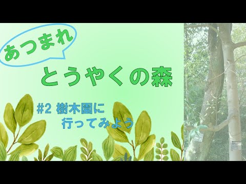 あつまれとうやくの森#2