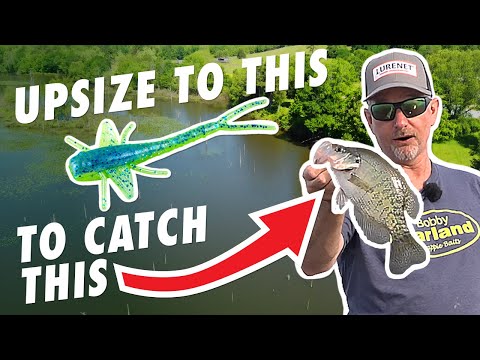 Crack the Code on BIG Crappie (Late Summertime Secrets)