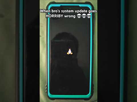 When bro's system update goes horribly wrong 💀💀💀 #linux #error #penguin #android #shorts