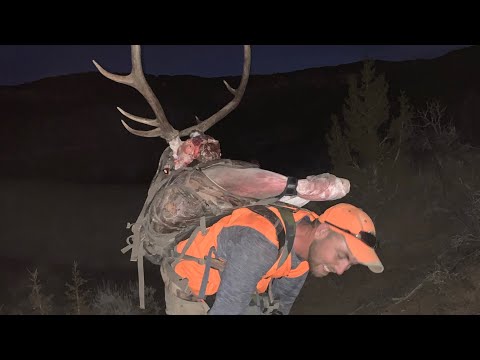 An ELK And MULE DEER In The Same Stalk