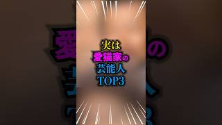 実は愛猫家の芸能人TOP3#愛猫家 #雑学 #芸人 #芸能人 #お笑い #shorts