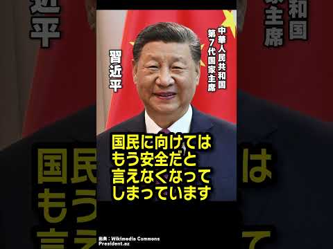 Q.中国政府によると、中国は最も安全な国なんですか？ #青山繁晴 #shorts