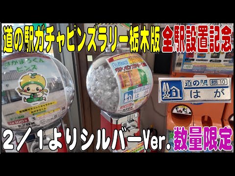 栃木県  道の駅全駅設置記念　道の駅ピンズ シルバーVerが入りました