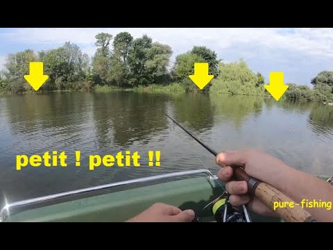 peche de la perche en ultra-leger