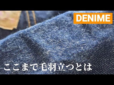 255：もっふもふになってきたDENIME　驚きの毛羽立ち　ドゥニーム　221A