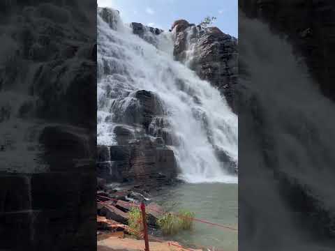 Tirathgarh waterfall Bastar Chhattisgarh, #shorts #youtubeshorts #waterfalwaterfalls lls