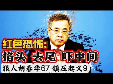 狠人胡春华67 镇压起义9 红色恐怖：掐头去尾吓中间