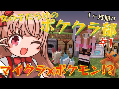 【#minecraft 】マイクラ×ポケモン！ #女の子だらけのポケクラ部 どきどきの初日！ #cobblemon  【新人Vtuber /胡桃ぬい】